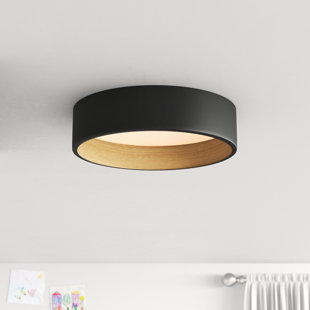 Wayfair ceiling lamps hotsell